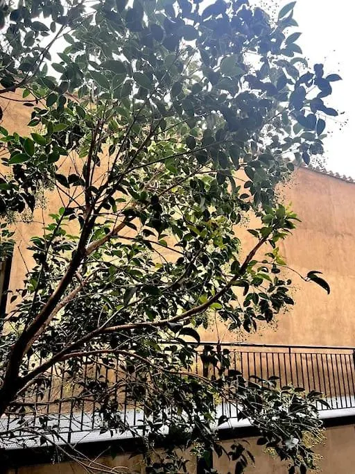 Hotel Virginia Apartaments - Stazione Termini Ρώμη 0*,